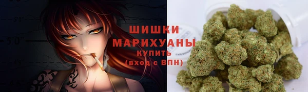 амф Аркадак